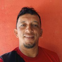 dourado555