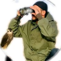 الصوت الأصلي