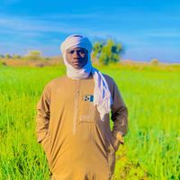 cb512