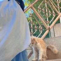 bibe.gambi23