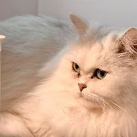 二千年... 若しくは... 二万年後の君へ