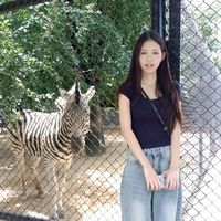 amishop_599