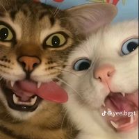 original sound - Fahad RM