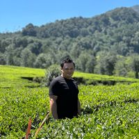 suara asli - Prima Ori