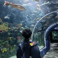 original sound - itssantig