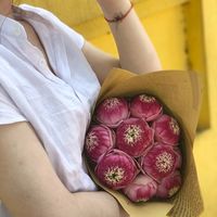 nhạc nền - Hà Phương Thảo