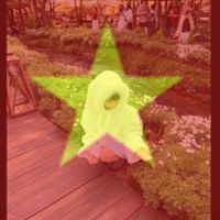 nhạc nền - Cá ❤️