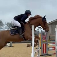 jess_equine17