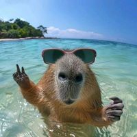 soy.la.capybara