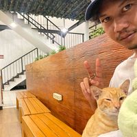 suara asli - Joynotyourtype