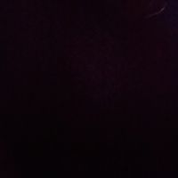 cxstro_66