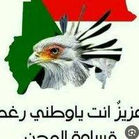 الصوت الأصلي - عزيزي انت ي وطني