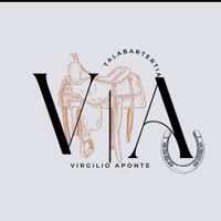 virgilioaponte6