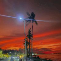 suara asli