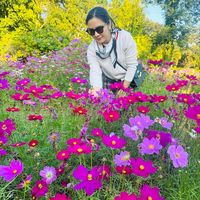 duangpaserth_2019