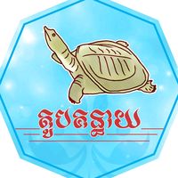 turtlesstall11