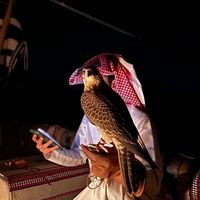 الصوت الأصلي