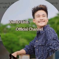 original sound - david linn