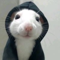 原声 - jinzhicheng