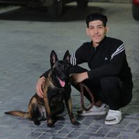 eltayebbashaa0