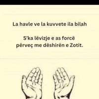 aldin.z