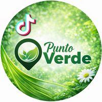 punto.verde01