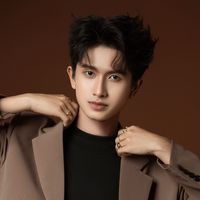 tringanvinhlong64