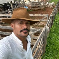 entretenimentonaroca