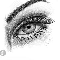 zeynep066809