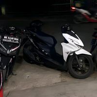 suara asli - 291 zeinn💤