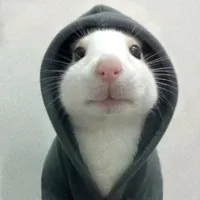 original sound - tzmm8966