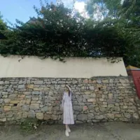 original sound - lira20075