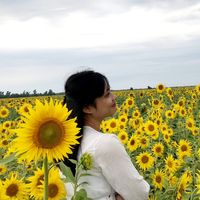 nhạc nền - Cô Giáo Dạy Tiếng Nga