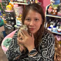 lhanyai