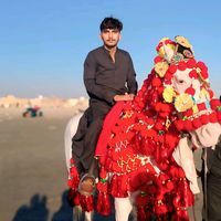 mirzashakeel762