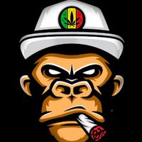 tipsy.monkey.imad