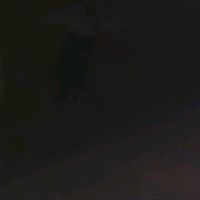 silaaxs_01