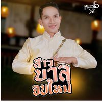 เสียงต้นฉบับ - หมอโอวลี2 สําหรับไลฟ์