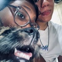 xt_almsdx