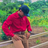 sonido original