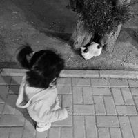 ll._v_u