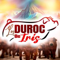 losdurocdeiris