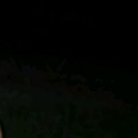 lisnedfuentes3