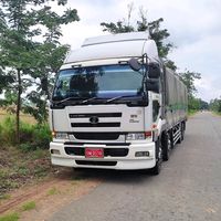 bobo4446123456789