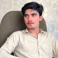 hamidali7183