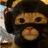 original sound - nxszxrxx