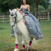 caballosyprincesas.ofici