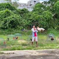 original sound - TSC-111 Cheng😎