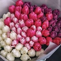 more_radosti_iokeanlubvi