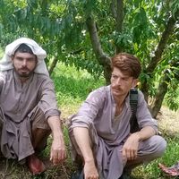 sadampti2